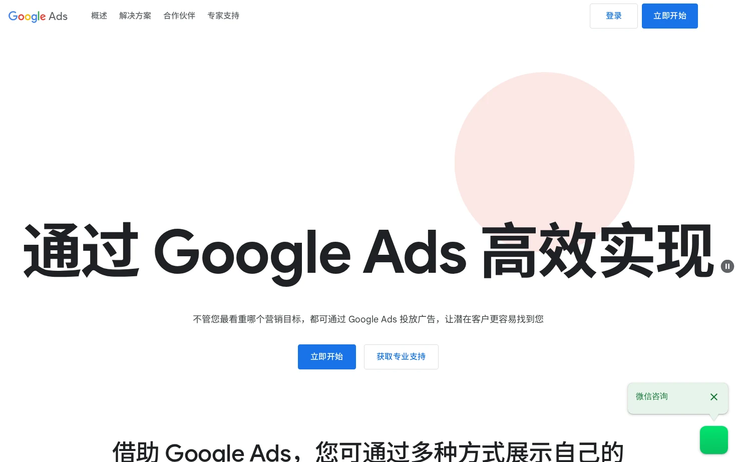 Google Ads 页面快照